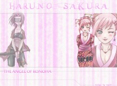 Wallpapers Manga sakura