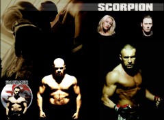 Wallpapers Movies Scorpion