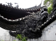 Wallpapers Trips : Asia Dragon dans un jardin de Shanghai (Chine)