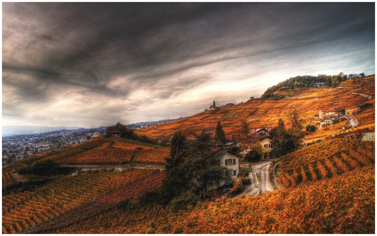 Fonds d'cran Voyages : Europe Suisse Vendanges en Suisse 1