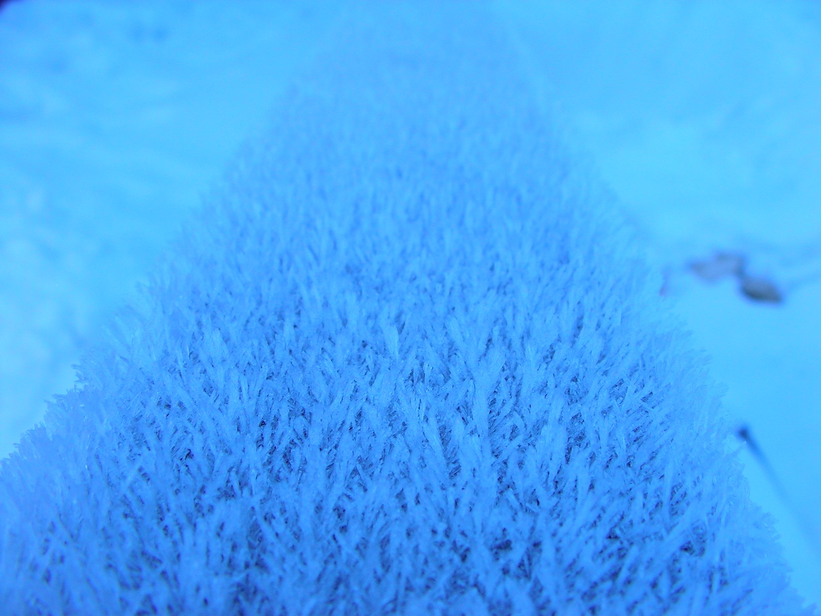 Fonds d'cran Nature Saisons - Hiver Balustrade gele