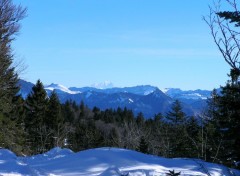 Fonds d'cran Nature Autrans - Vue sur Mont Blanc