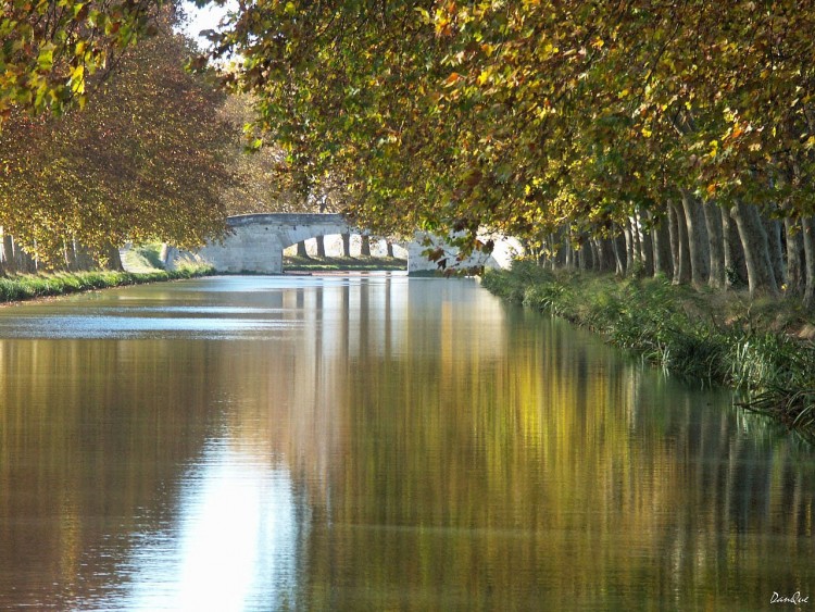 Wallpapers Trips : Europ France > Languedoc-Roussillon Canal du midi