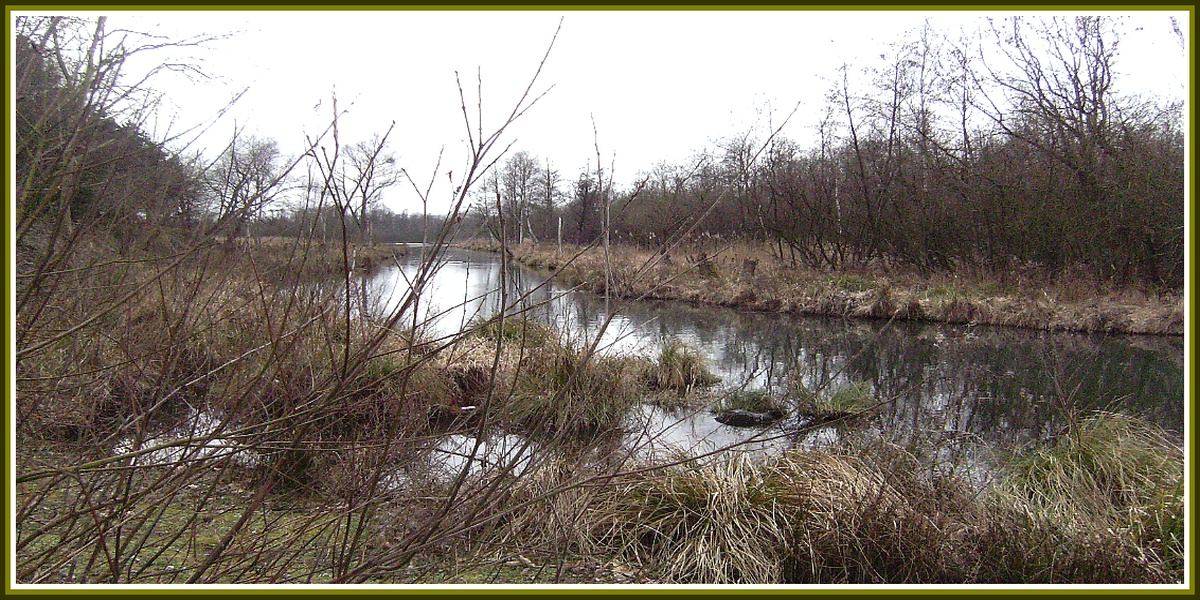 Fonds d'cran Nature Paysages Saint-Quentin (02) Les marais d'Isle 2