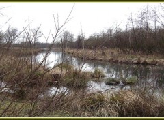 Fonds d'cran Nature Saint-Quentin (02) Les marais d'Isle 2