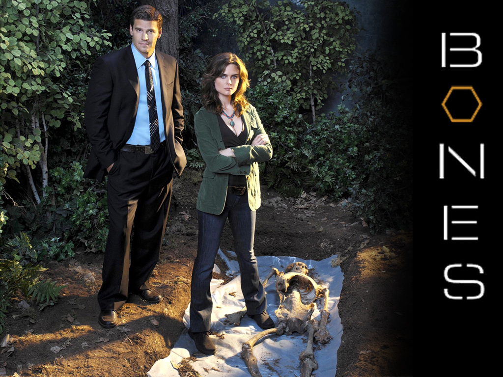 Wallpapers TV Soaps Bones Bones : Booth & Brennan