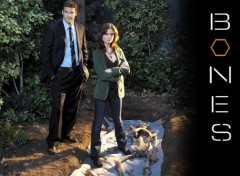 Wallpapers TV Soaps Bones : Booth & Brennan