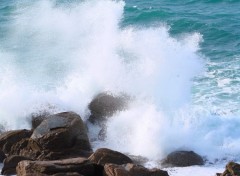 Fonds d'cran Nature quand la vague s'eclate