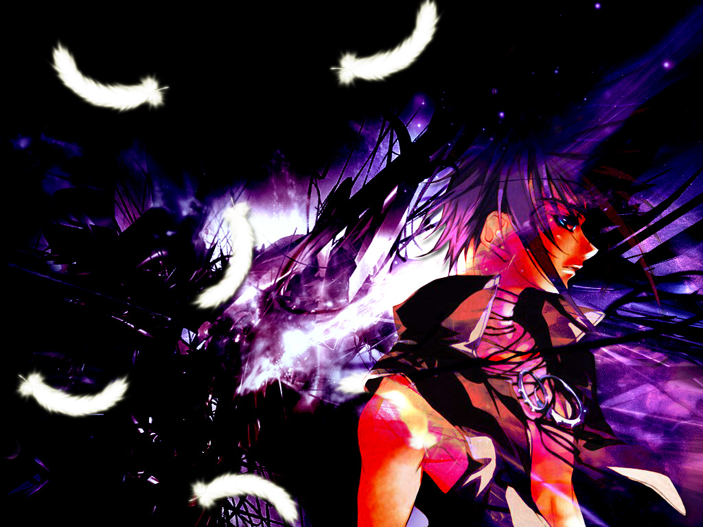 Wallpapers Manga DN Angel Dark's feathers.