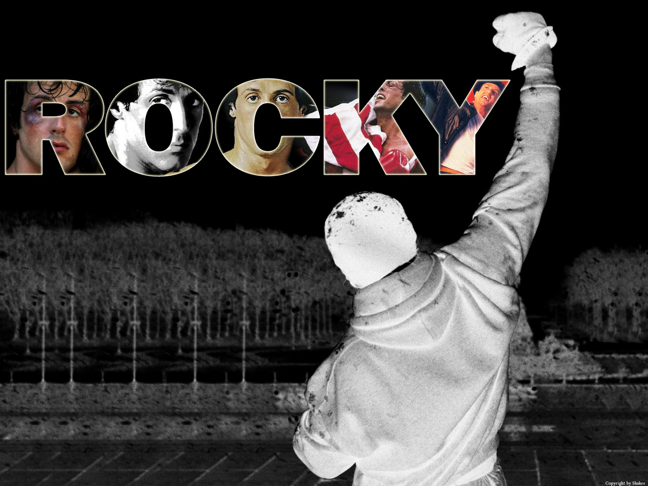 Wallpapers Movies Rocky ROCKY I A VI