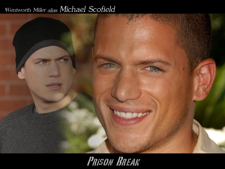 Wallpapers TV Soaps Prison Break wentworth miller