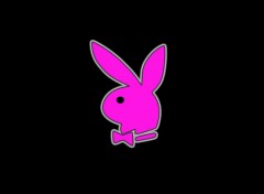 Fonds d'cran Art - Numrique Playboy