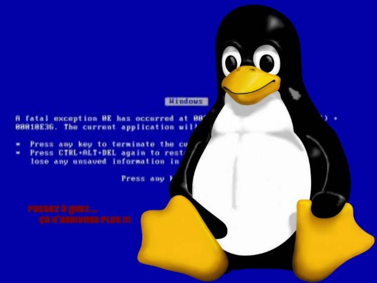 Fonds d'cran Informatique Linux fatal error