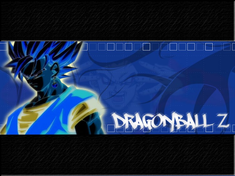 Fonds d'cran Manga Dragon Ball Z Gogta obscur