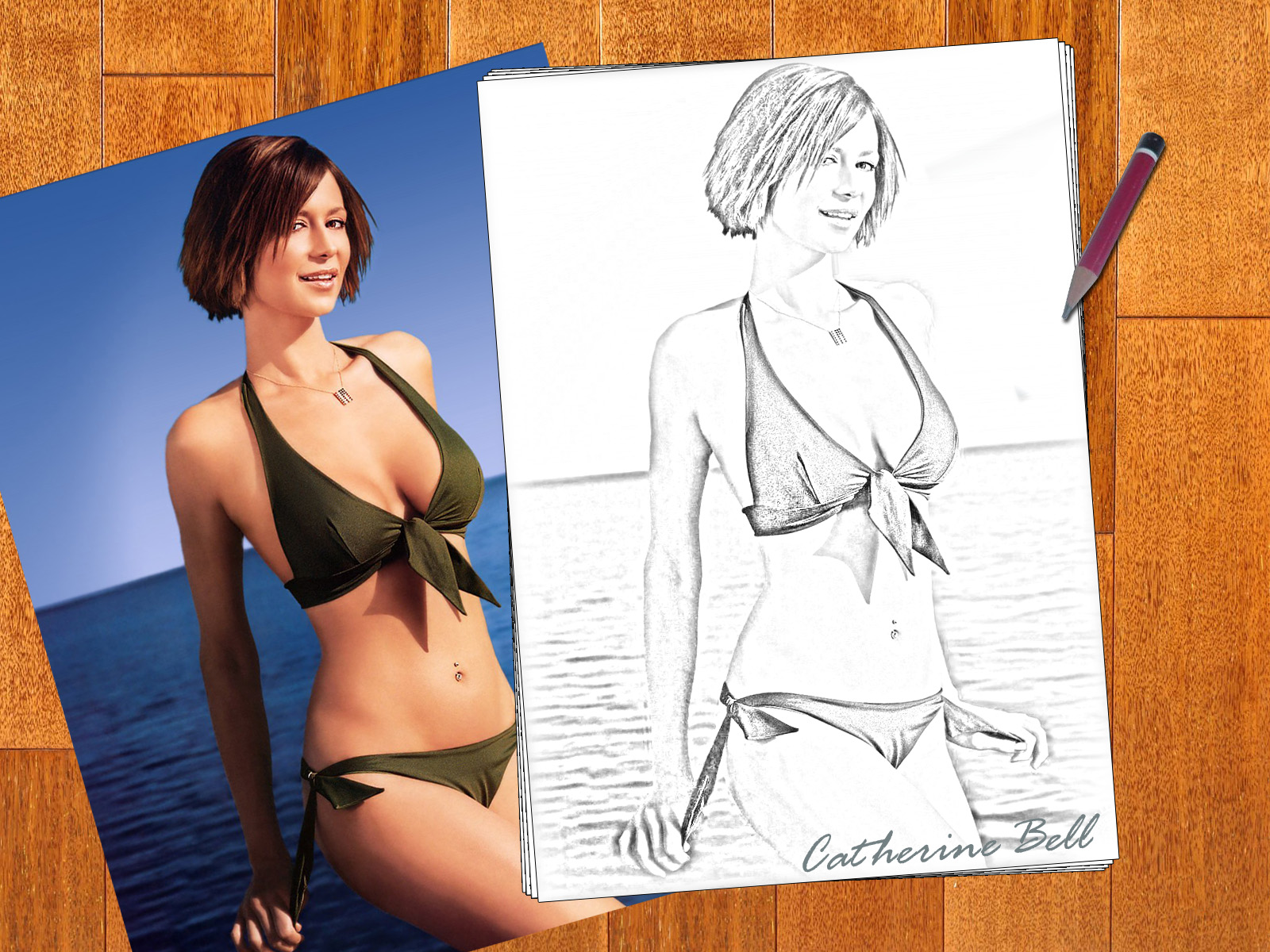 Fonds d'cran Clbrits Femme Catherine Bell Dessin