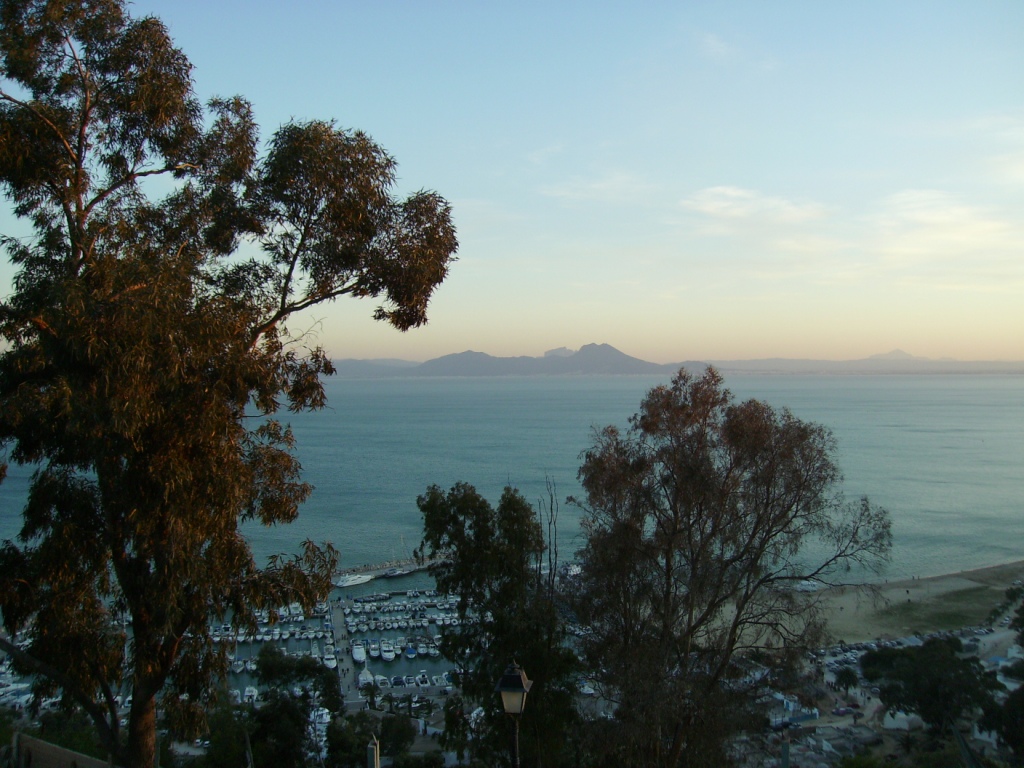 Fonds d'cran Voyages : Afrique Tunisie sidi bou said