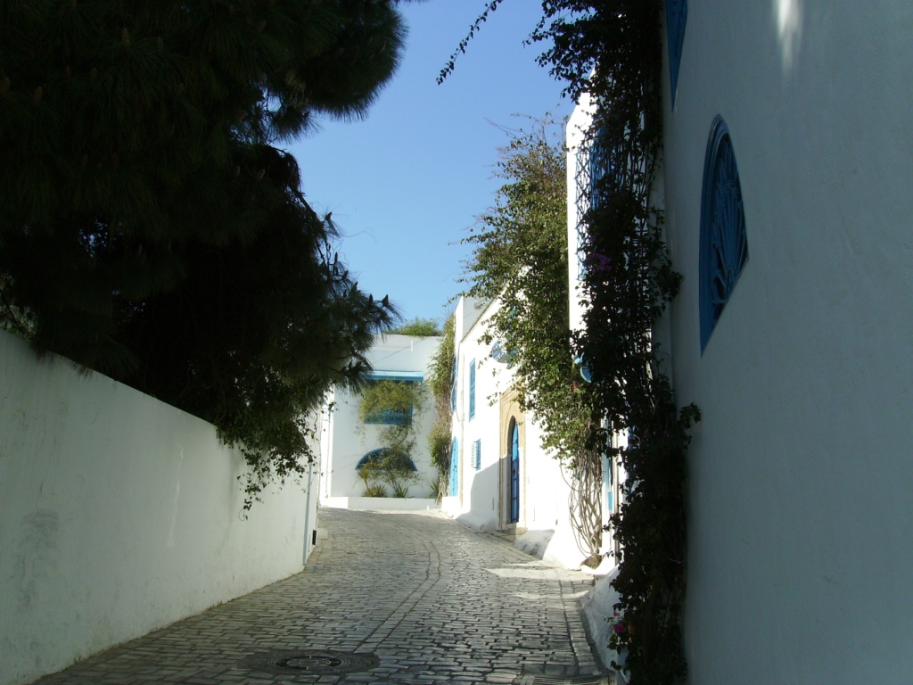 Fonds d'cran Voyages : Afrique Tunisie sidi bou said