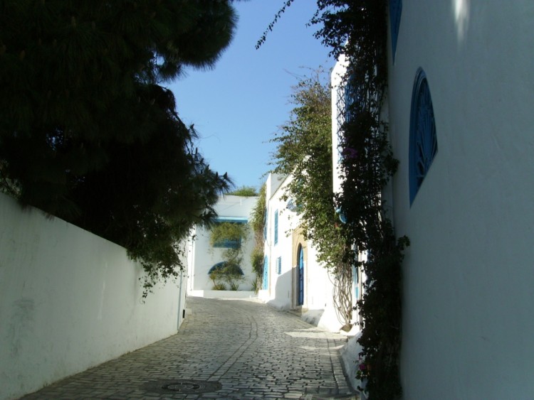 Fonds d'cran Voyages : Afrique Tunisie sidi bou said