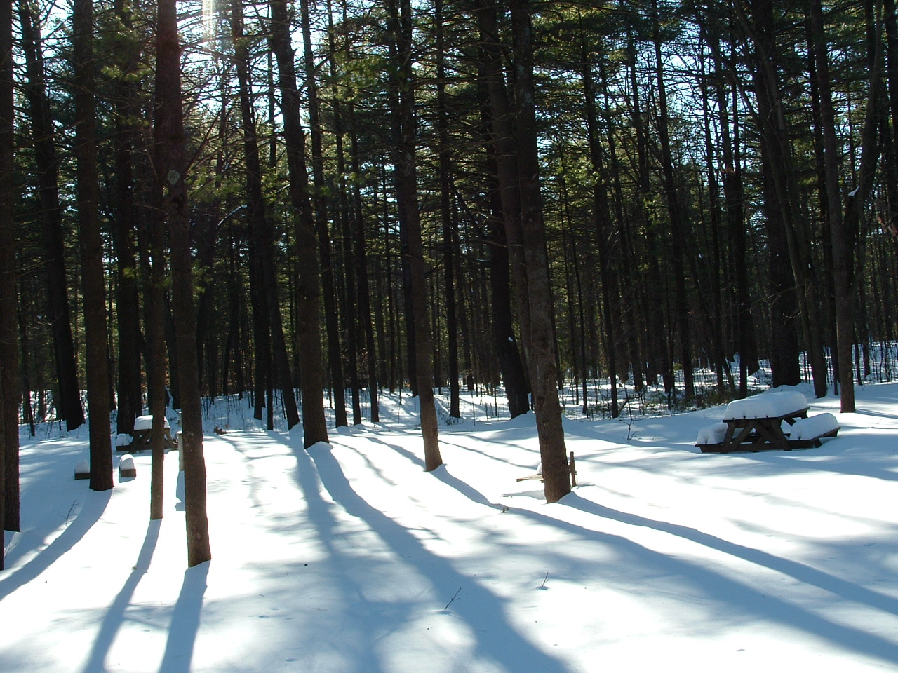 Fonds d'cran Nature Saisons - Hiver Paysage d hiver