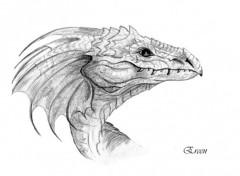 Wallpapers Art - Pencil Dragon