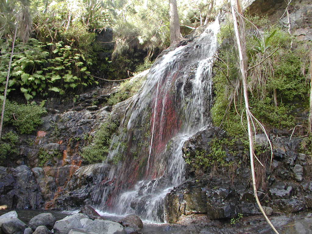 Fonds d'cran Nature Cascades - Chutes Cilaos-Runion