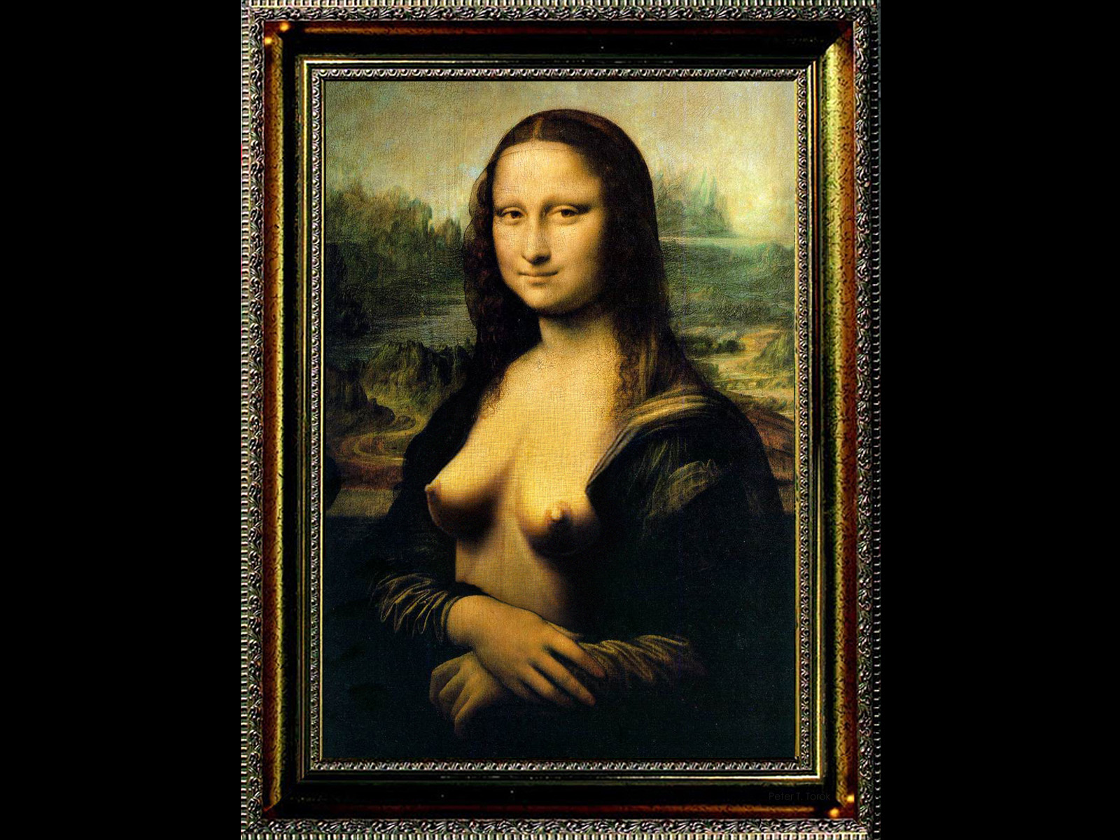 Wallpapers Humor Parodies The Original Mona Lisa :)