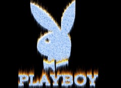 Wallpapers Digital Art Logo Playboy