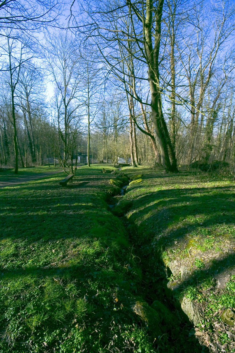 Fonds d'cran Nature Arbres - Forts Ruisseau forestier