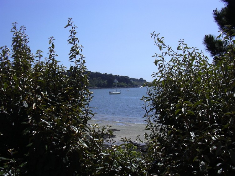 Fonds d'cran Nature Paysages Entre deux buissons