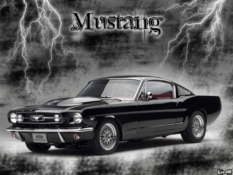 Fonds d'cran Voitures Mustang Wallpaper N165147