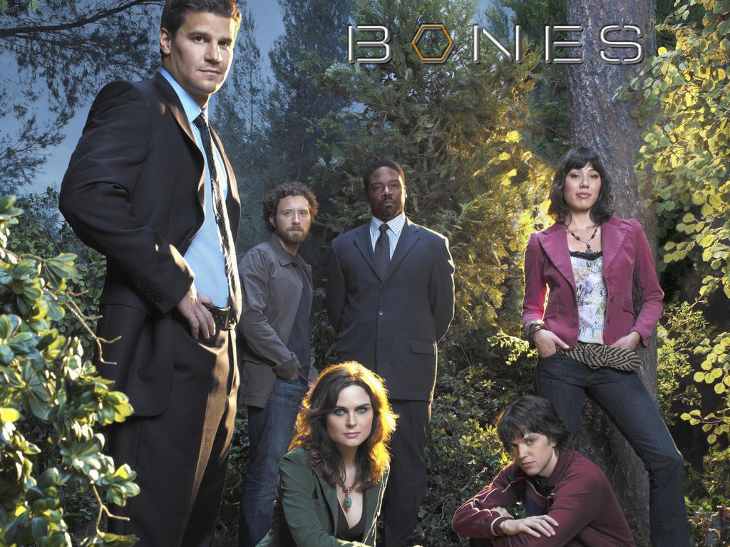 Fonds d'cran Sries TV Bones Bones cast s2