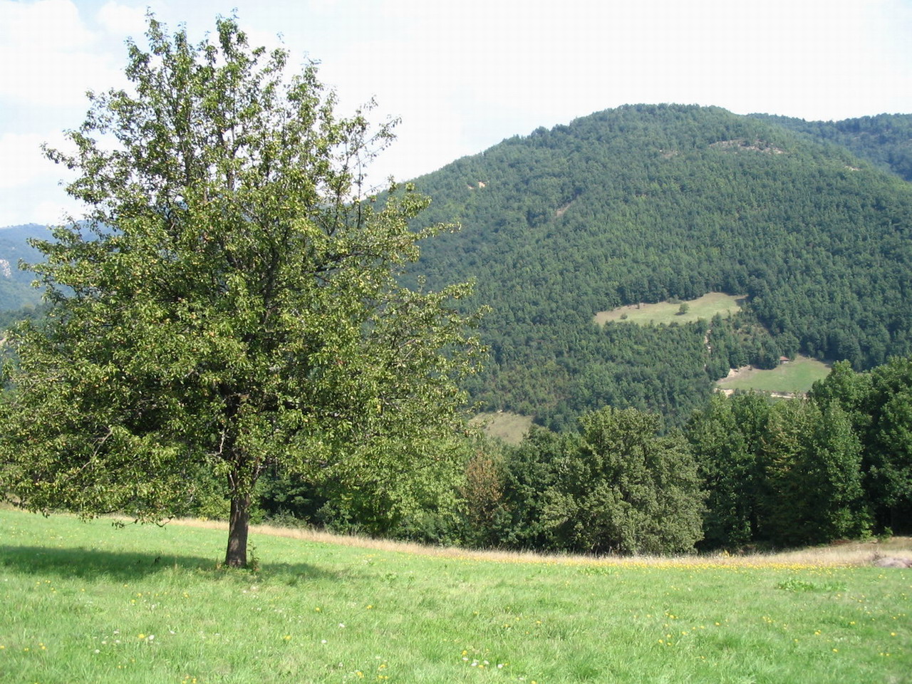 Fonds d'cran Nature Montagnes les montagnes de serbia