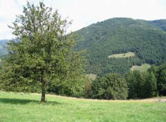 Fonds d'cran Nature les montagnes de serbia