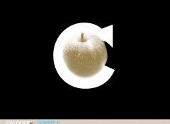 Wallpapers Music POMME C