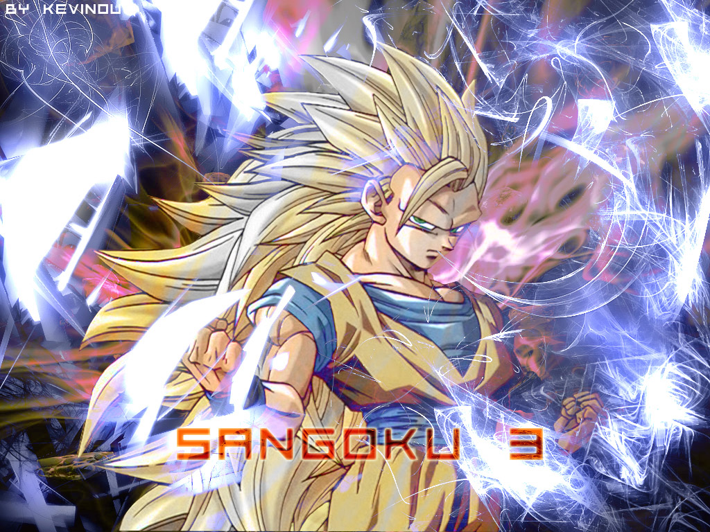 Wallpapers Manga Dragon Ball Z SS Sangoku 3