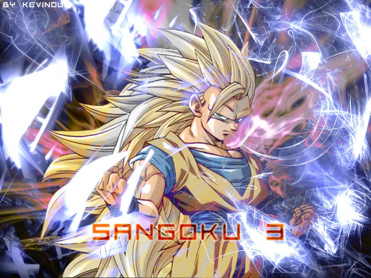 Fonds d'cran Manga Dragon Ball Z SS Sangoku 3