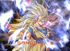 Wallpapers Manga SS Sangoku 3