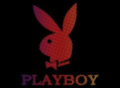 Fonds d'cran Erotic Art PLayboy logo