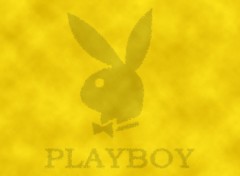 Fonds d'cran Erotic Art PLayboy logo