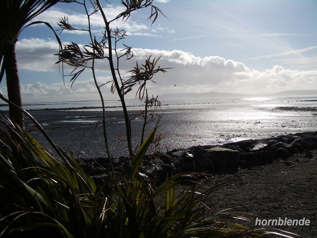 Wallpapers Nature Seas - Oceans - Beaches Galway's beach sous le soleil