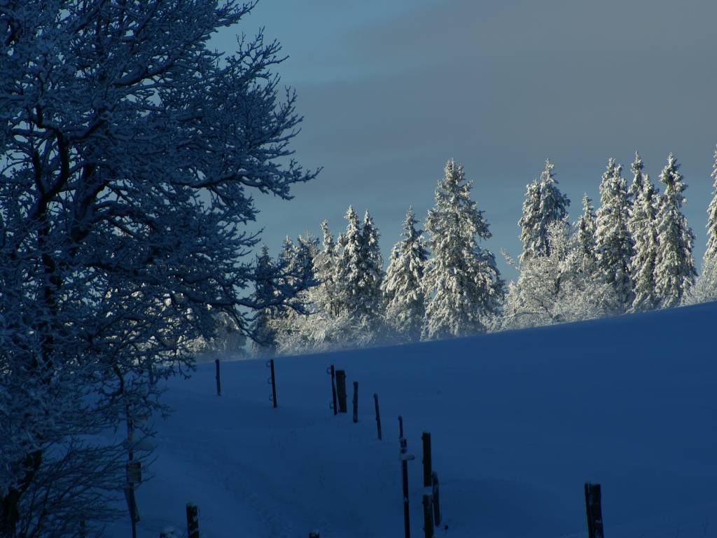 Fonds d'cran Nature Saisons - Hiver 