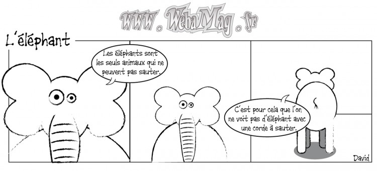 Fonds d'cran Humour Divers WebaMag