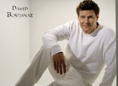 Fonds d'cran Clbrits Homme David Boreanaz