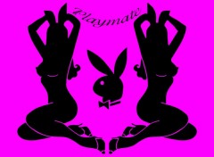 Fonds d'cran Erotic Art Playboy