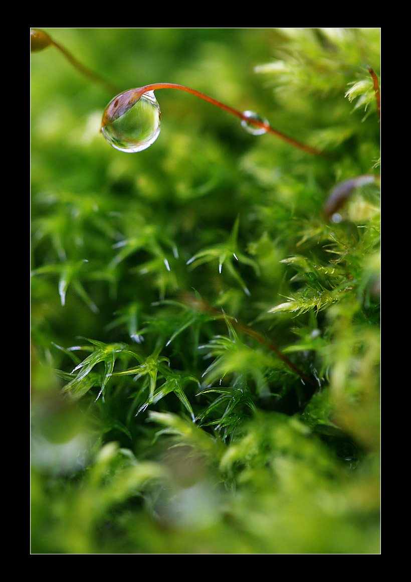 Fonds d'cran Nature Eau - Reflets Une Perle