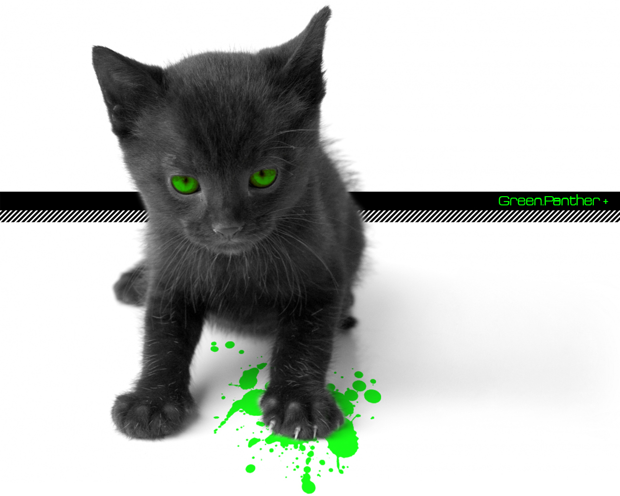 Wallpapers Digital Art Animals Green Panther