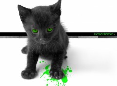 Wallpapers Digital Art Green Panther