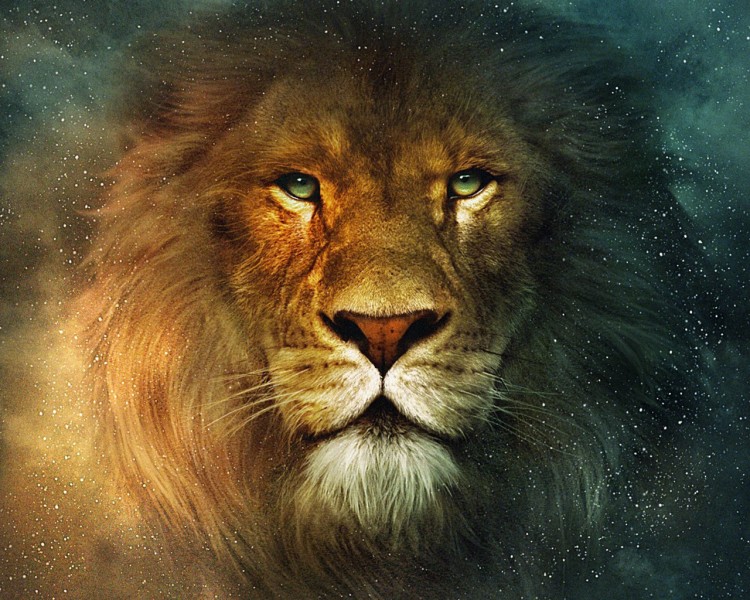 Download Mystic Galaxy Lion Gazing into the Universe Wallpaper  Wallpapers com