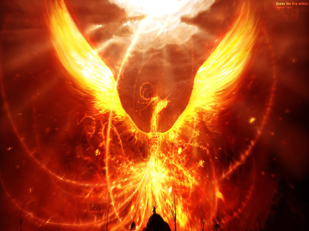 Wallpapers Fantasy and Science Fiction Creatures : Phoenix Phoenix