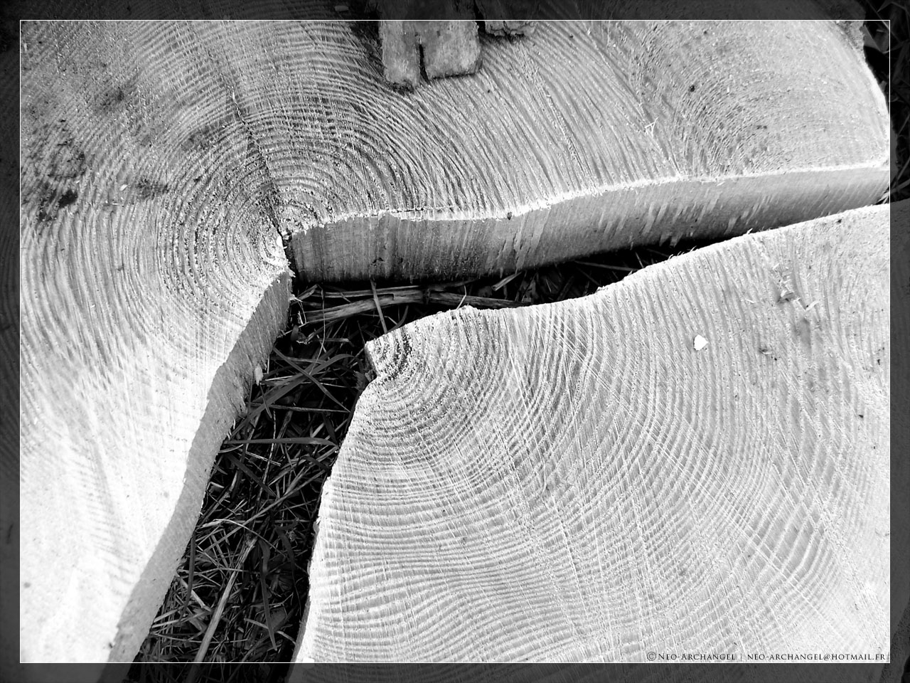 Fonds d'cran Nature Arbres - Forts Fracture